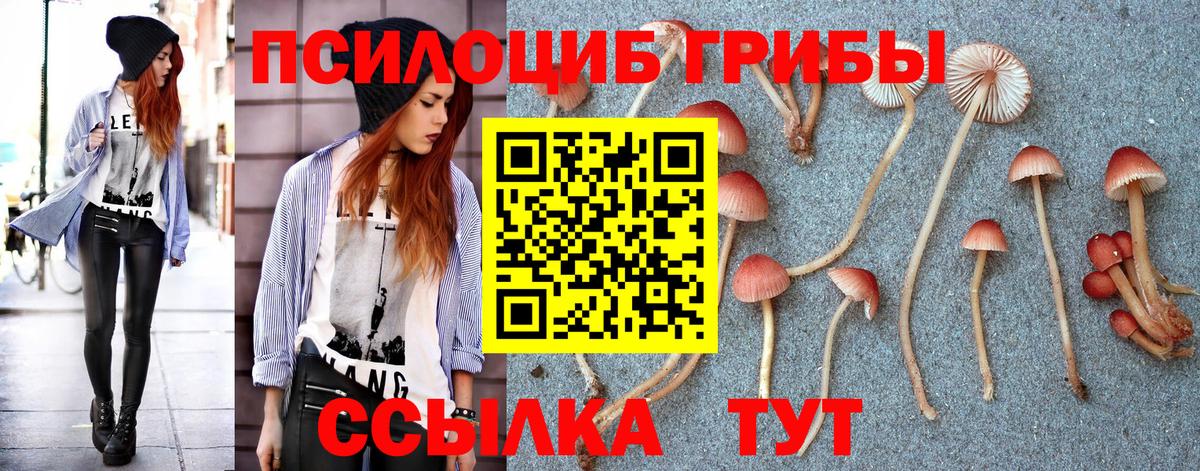 Псилоцибиновые грибы GOLDEN TEACHER Обнинск