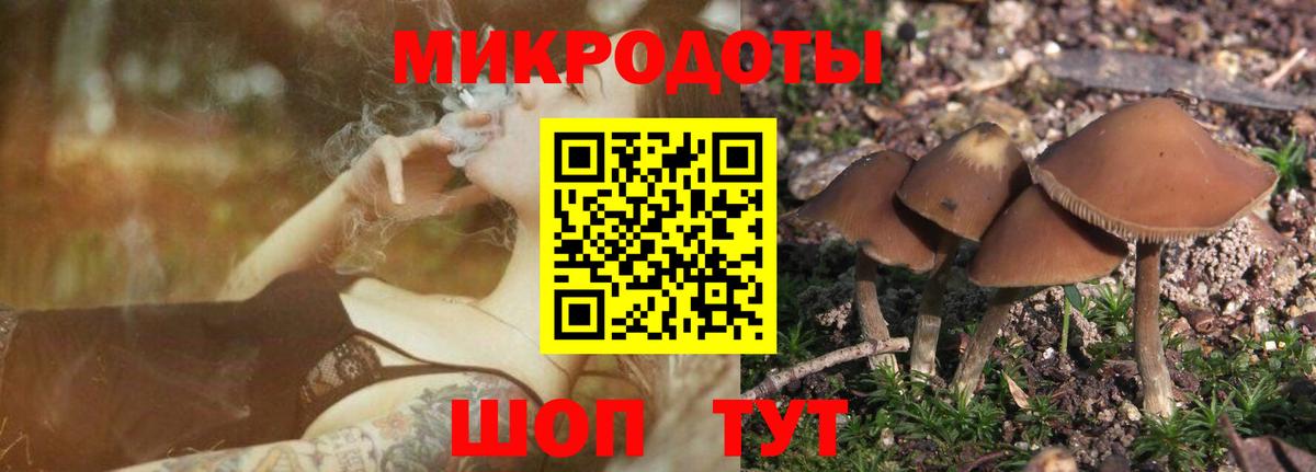 Обнинск  Псилоцибиновые грибы MAGIC MUSHROOMS  Вход с VPN 